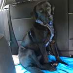 Ersteller:in Evelyn Profilbild