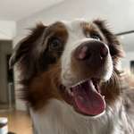 Ersteller:in Patricia Profilbild