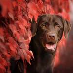 Ersteller:in Sarah Profilbild