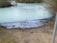 Hundeauslaufgebiet-Harpener Teiche-Bild