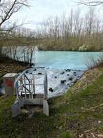 Hundeauslaufgebiet-Harpener Teiche-Bild