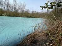 Hundeauslaufgebiet-Harpener Teiche-Bild