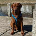 Ersteller:in Barbara Profilbild