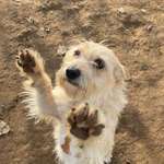 Ersteller:in Manu Profilbild