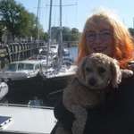 Ersteller:in sommer Profilbild