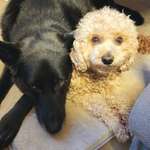 Ersteller:in sommer Profilbild