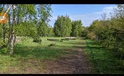 Hundeauslaufgebiet-Hundeauslauf Schirnau-Bild