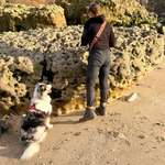 Ersteller:in Sandy Profilbild