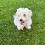 Ersteller:in Viktoria Profilbild