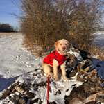 Ersteller:in Ruth Profilbild