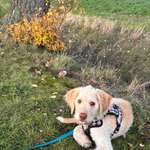 Ersteller:in Ruth Profilbild