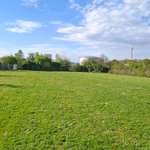 Hundeauslaufgebiet-Hundewiese Wallersheim-Bild