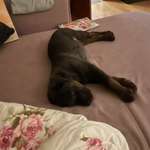 Ersteller:in Meike Profilbild