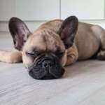 Ersteller:in Normen Profilbild