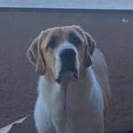 Ersteller:in Selina Profilbild