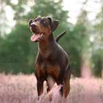 Ersteller:in Tanja Profilbild