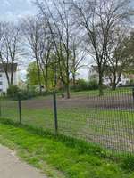 Hundeauslaufgebiet-Freilauffläche für Hunde-Bild