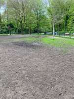 Hundeauslaufgebiet-Freilauffläche für Hunde-Bild