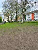 Hundeauslaufgebiet-Freilauffläche für Hunde-Bild