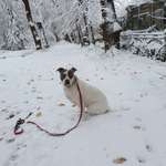 Ersteller:in Marvin Profilbild