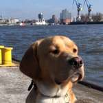 Ersteller:in Enzo Profilbild