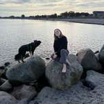 Ersteller:in marie Profilbild