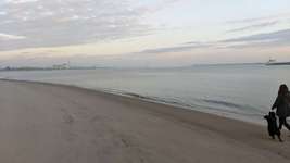 Hundeauslaufgebiet-Bassenfleeth Elbstrand-Bild