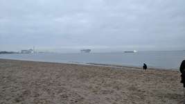 Hundeauslaufgebiet-Bassenfleeth Elbstrand-Bild