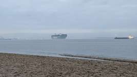 Hundeauslaufgebiet-Bassenfleeth Elbstrand-Bild