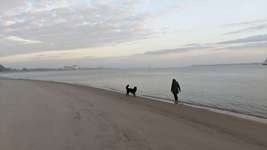 Hundeauslaufgebiet-Bassenfleeth Elbstrand-Bild