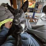 Ersteller:in dennis Profilbild