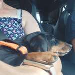 Ersteller:in Joy Profilbild