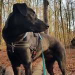 Ersteller:in Mara Profilbild