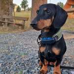 Ersteller:in Julia Profilbild