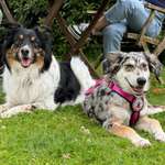 Ersteller:in Tabea-Emilie Profilbild