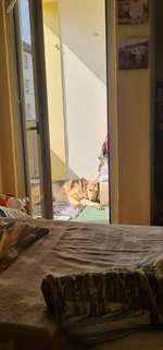 Allein lassen-Beitrag-Bild