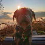 Ersteller:in Nicole Profilbild