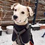 Ersteller:in Jaci Profilbild