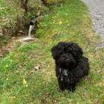 Ersteller:in Florian Profilbild