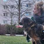 Ersteller:in Celine Profilbild