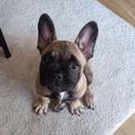 Ersteller:in Janin Profilbild