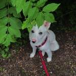 Ersteller:in Sarah Profilbild