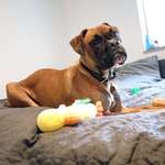 Ersteller:in Lea Profilbild