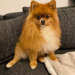 Ersteller:in Janette Profilbild