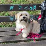 Ersteller:in Christiane Profilbild