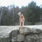 Ersteller:in Kirsten Profilbild