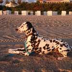 Ersteller:in Ina Profilbild