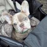 Ersteller:in june Profilbild