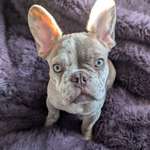 Ersteller:in june Profilbild