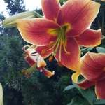 Ersteller:in Claudia Profilbild